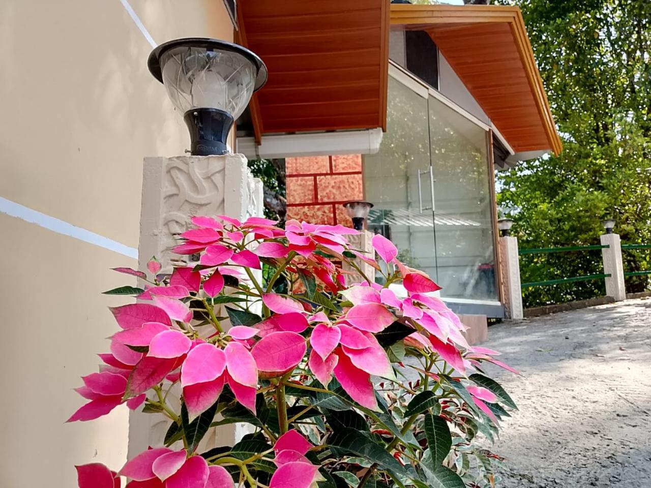 Cloudscape Homestay Pirmed Ngoại thất bức ảnh